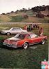 Chrysler 1977 1-71.jpg